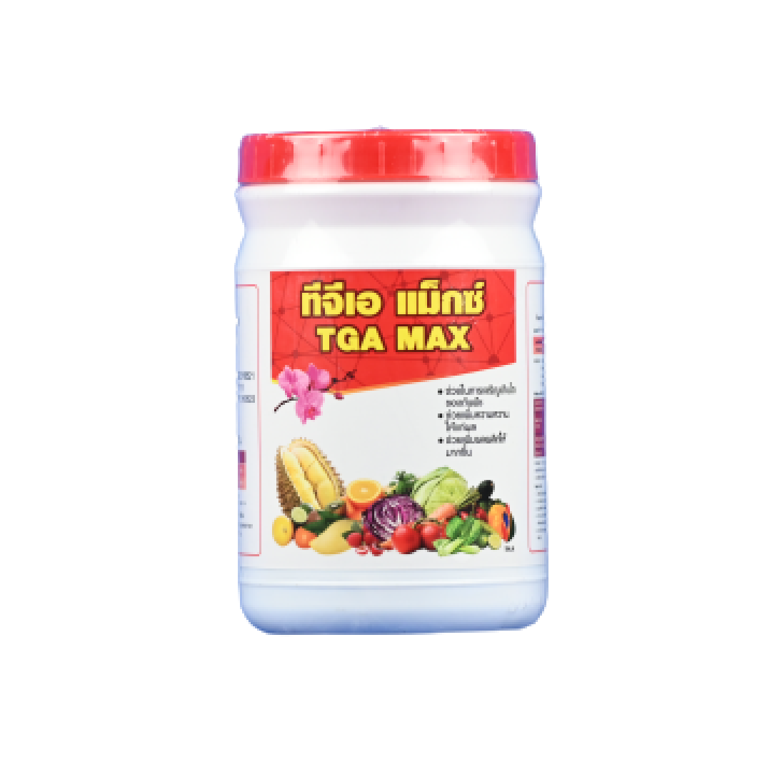 ทดลองpg คาสิโนครบวงจร เปิดประสบการณ์ใหม่ สู่โลกพนันในไทย