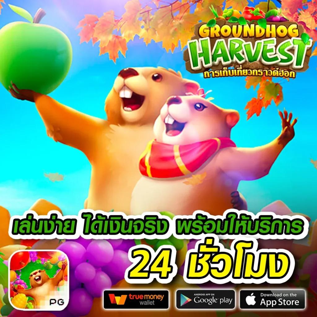แทงหวย cat999 ฝากถอนง่าย ระบบทันสมัย จ่ายเต็มทุกยอด